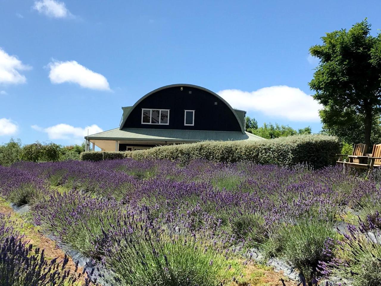 Lavender Hill Bed & Breakfast Riverhead ภายนอก รูปภาพ